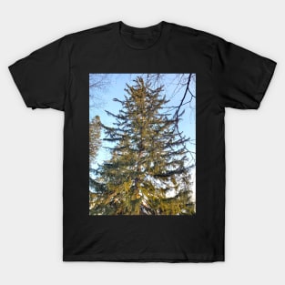 Coniferous T-Shirt